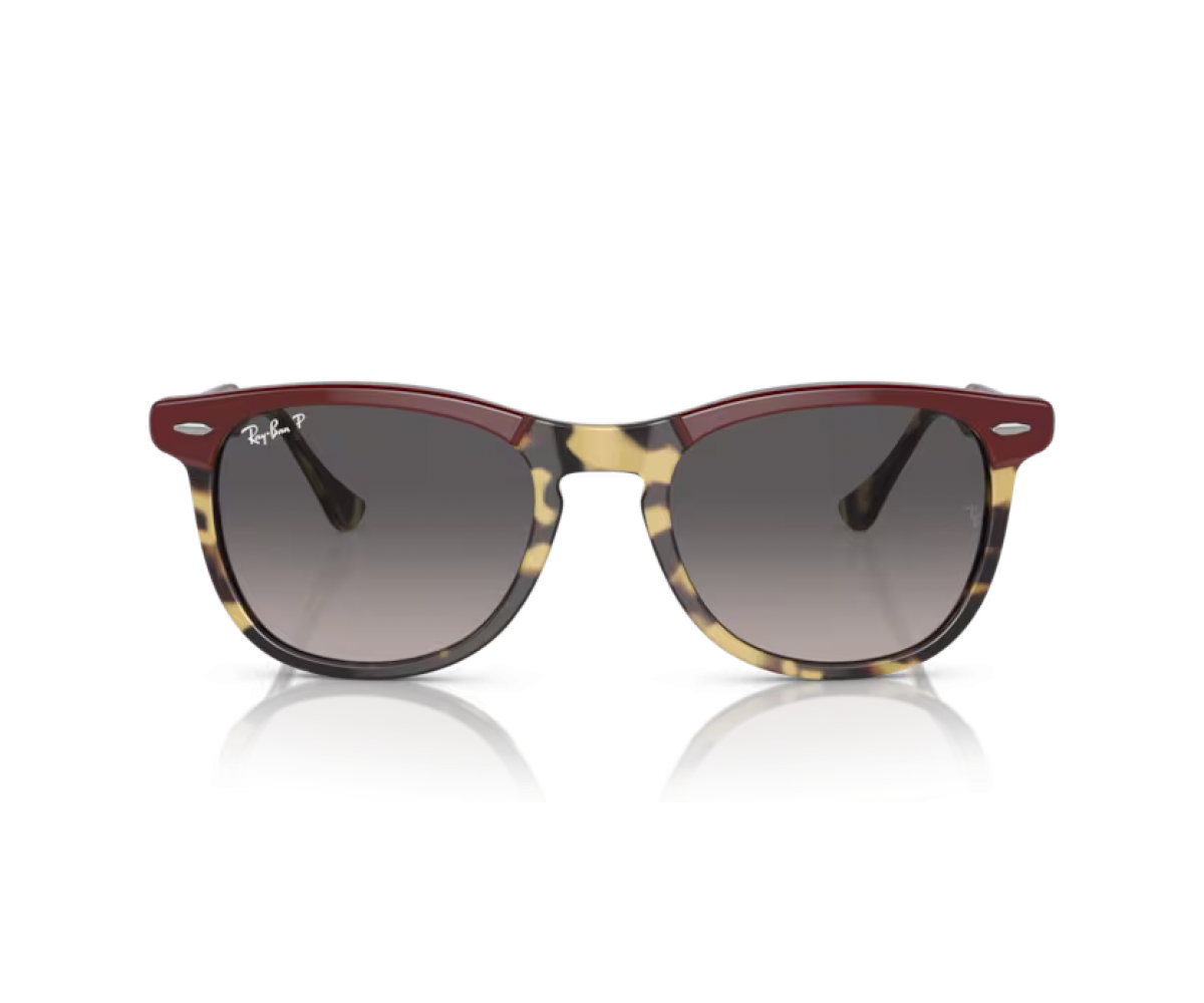 RAY BAN EAGLEEYE RB2398/1377/M3 53